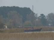 Segelboot am Peenestrom: Zecherin auf Usedom bei Wolgast.