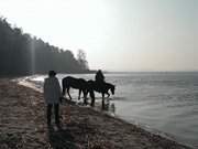 Mit dem Pferd ans Achterwasser: Strand am Konker Berg.