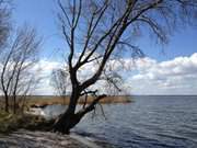 Strand am Peenestrom: Usedomer Halbinsel Lieper Winkel.