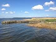 Fischerhafen im Schilf: Warthe auf dem Lieper Winkel.