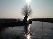 Hafen am Achterwasser: Bernsteinbad Zempin auf Usedom.