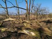 Im Norden der Insel Usedom: Auf dem Peenemnder Haken.