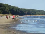 Ende des Usedomer Ostseestrandes: Peenemnder Haken.