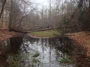 Der Mmmelkensee nahe des Ostseestrandes: Naturpark Insel Usedom.