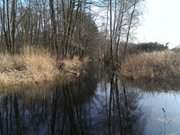 Das Zerninmoor im Osten der Insel: Naturpark Usedom.