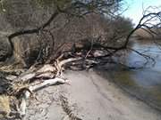 Am Hftberg: Kleiner Sandstrand am Achterwasser.