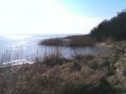 Urlaub auf Usedom: Achterwasser am Loddiner Hft.