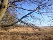 Usedomer Hinterland am Achterwasser: Landschaft bei Balm.