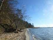 Steilkste am Achterwasser: Der Konker Berg bei Pudagla.