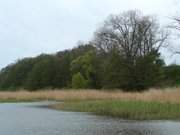 Am Stettiner Haff: Bei Neverow auf Usedom.