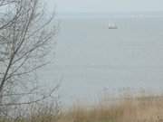 Usedomer Boddengewsser: Segeln auf dem Stettiner Haff.