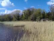 Zwischen Klpinsee und Stubbenfelde: Der Klpinsee.