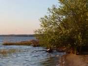 Idyll am Achterwasser: Sandstrand am Konker Berg.