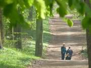 Bei Koserow: Wanderweg an der Usedomer Ostseekste.