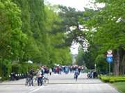 Flaniermeile: Die alte Strandpromenade von Swinemnde.