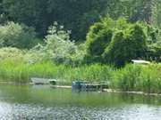 Boote im Schilf: Klpinsee im Seebad Loddin.