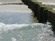 Buhnen und Ostseewasser: Urlaub auf Usedom.