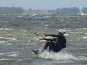 Guter Wind auf dem Stettiner Haff: Kiter bei Kamminke.