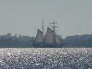 "Weie Dne": Segelschiff auf dem Achterwasser.