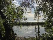 Tmpel im Schilf: Achterwasser an der Halbinsel Gnitz.