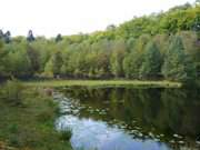 Zwischen ckeritz und Bansin: Der Mmmelkensee.