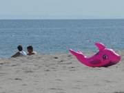 Badetier: Familienurlaub am Ostseestrand von Usedom.