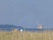 Knstliche Insel im Greifswalder Bodden: Nordkste Usedoms.