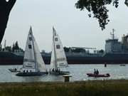 Gefhrliche Begegnung: Segelregatta im Hafen Swinemnde.