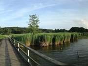 Schmollensee im Panorama: Zweitgrter See Usedoms.