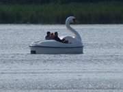 Schwanenboot: Der Klpinsee im Seebad Loddin.