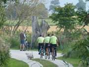 Kurz vor Kachlin: Radweg durch das Thurbruch.