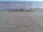 Muschelinschrift am Ostseestrand: Usedom, eine Liebeserklrung.