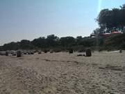 Strandkrbe am Ostseestrand des Seebades ckeritz.