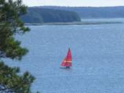 Bei Pudagla im Usedomer Hinterland: Blick aufs Achterwasser.