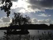 Schwaneninsel: Der Klpinsee in der Usedomer Inselmitte.