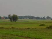 Haffland der Insel Usedom: Wiesen bei Gummlin.