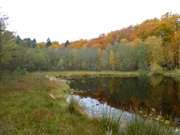 Zwischen ckeritz und Bansin: Der Mmmelkensee.