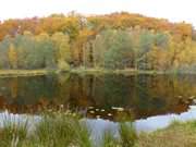 Der Mmmelkensee: Usedomer See an der Ostsee.