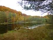 Im Wald hinter der Ostseekste: Der Mmmelkensee.