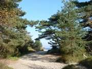 Zwischen Karlshagen und Peenemnde: Strandzugang zur Ostsee.