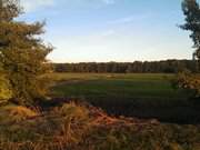 Seebad Loddin: Wiesenland bei Stubbenfelde.