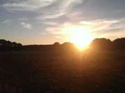 Oktober-Abend auf Usedom: Wiesenland am Achterwasser.