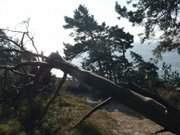 Usedomer Halbinsel Gnitz: Auf dem Weien Berg.