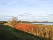 Von Zinnowitz auf den Gnitz: Wanderung auf dem Achterwasserdeich.