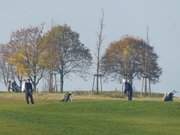 Balm: Golf in einer wunderbaren Landschaft.