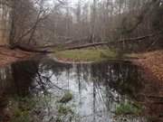 Nahe des Langen Berges: Der Mmmelkensee.