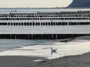 Seebad ckeritz auf Usedom: Novembertag am Meer.