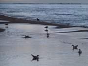 Dmmerung am Strand des Ostseebades Koserow auf Usedom.