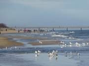 Kaiserbder auf Usedom: Ostseestrand am Langen Berg.