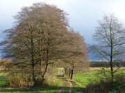 Wiesenland auf der Halbinsel Loddiner Hft.